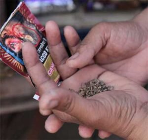 gutkha