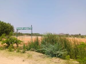 Sports Grounds