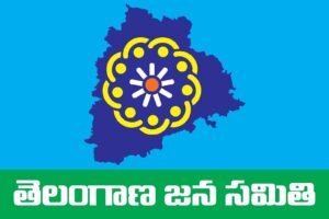 Wanaparthy Collector
