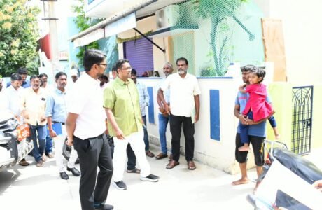 Wanaparthy Collector