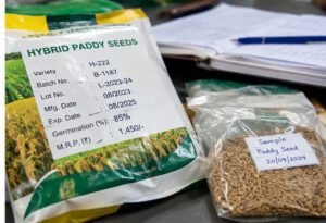Revalli Seed Dealers